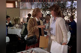 Scarecrow and Mrs. King Season 1: Fearless Dotty