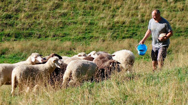 14:15: Verrückt nach Schafen – der Schäfer aus dem Pfaffenwinkel | MDR Fernsehen | 3/28 2026