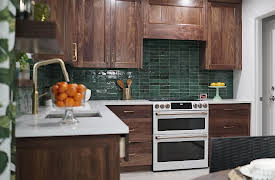 Renovation Impossible, Season 1: That '70s House