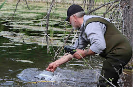 Expedition Bigfoot, Season 1: It Knows We’re Here