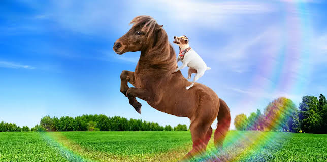 Adventures of Dally & Spanky (2019)