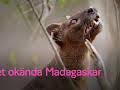 Det okända Madagaskar