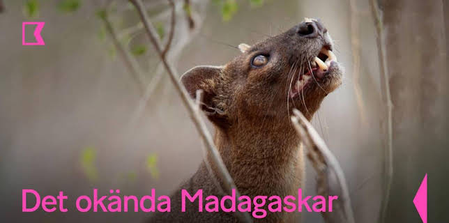 Det okända Madagaskar
