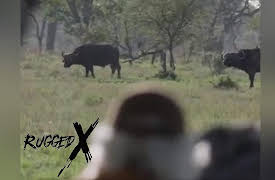 Rugged Expeditions with J Alain Smith: Serengeti Big Buffalo Adventure