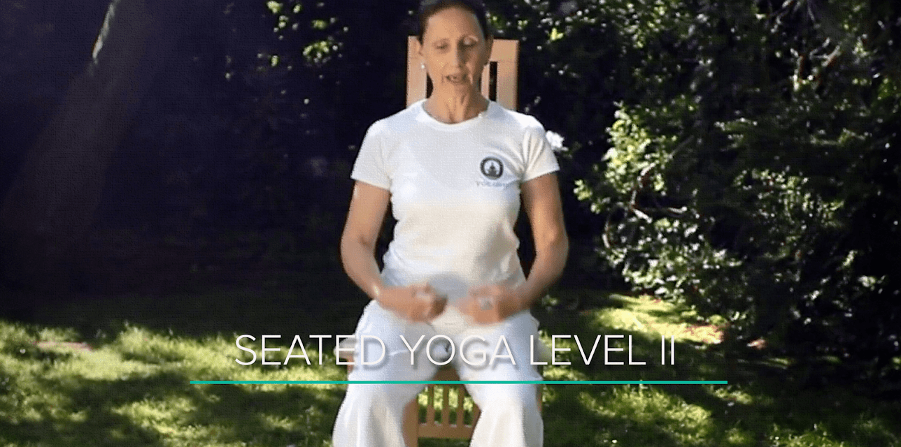 Seated Yoga Level II