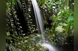 Lost Worlds of South America: South America's Lost Cradle of Civilization