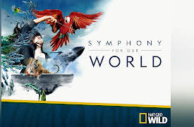 Symphony For Our World: Symphony for Our World