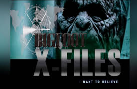 Bigfoot X Files: XFile 8970 Bigfoot evidence lies in the  Indian caves