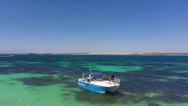 07:00: Guldjägarna i Australien (S8 E18) (S8) | TV10 | 4/24 2026