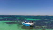 Guldjägarna i Australien (S8 E18)