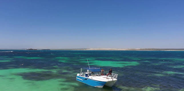 08:00: Guldjägarna i Australien (S8 E18) (S8) | TV10 | 11/21 2025