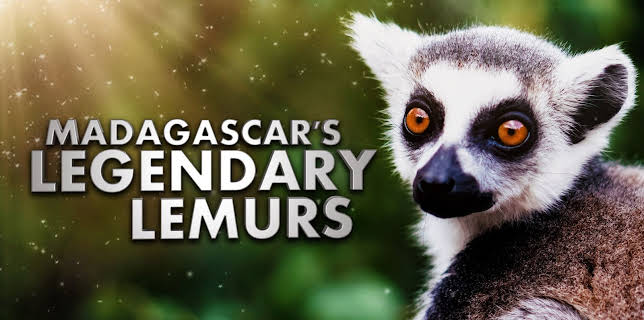 Madagascars Legendary Lemurs (2026)