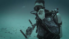 Giganten unter Wasser - Riesenfischen auf der Spur