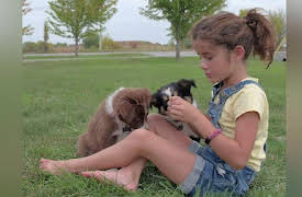 Kids' Planet: Urbanity