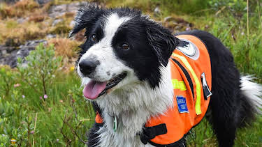 12:20 PM: Dog Squad (S2) | Cbeebies | 7/7 2026