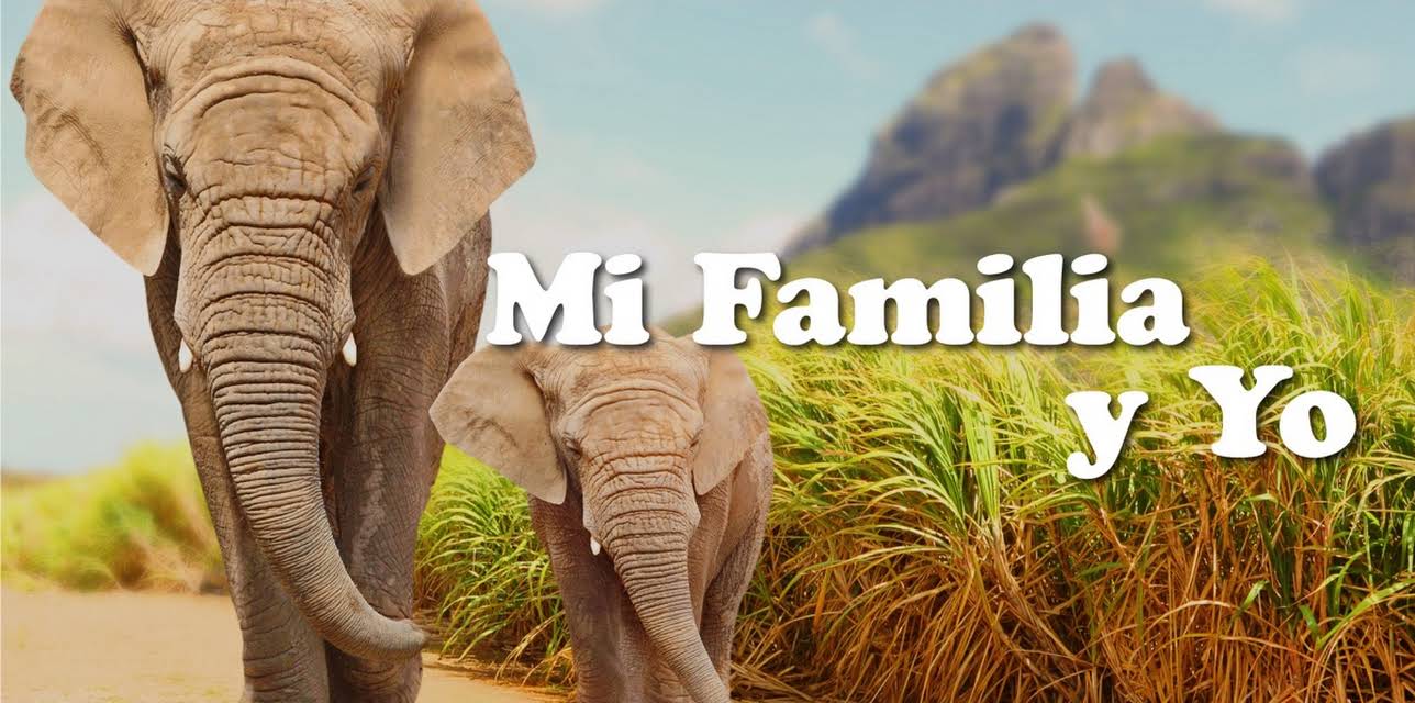Mi Familia y Yo