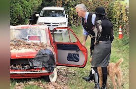 Billy Buys Brooklyn: Cool Rides