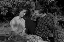 Andy Griffith Show Season 1: Ellie For Council