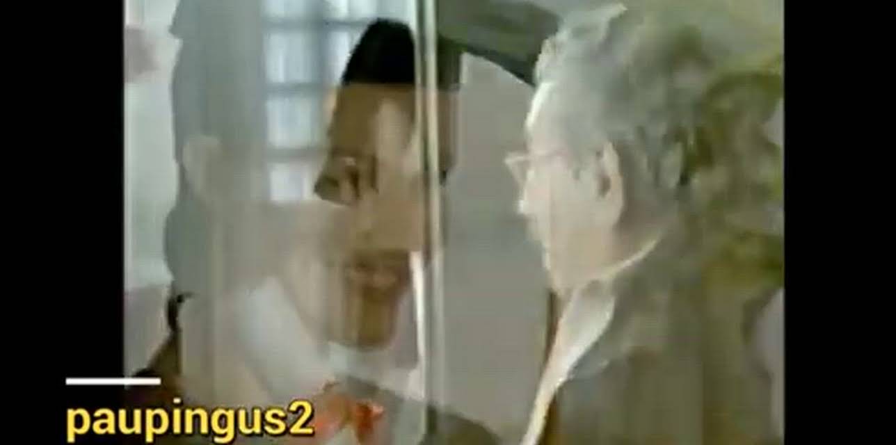 La rosa de Guadalupe