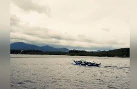 Tapestry: The Heart of ASEAN: . ASEAN’s Fruitful Harvest