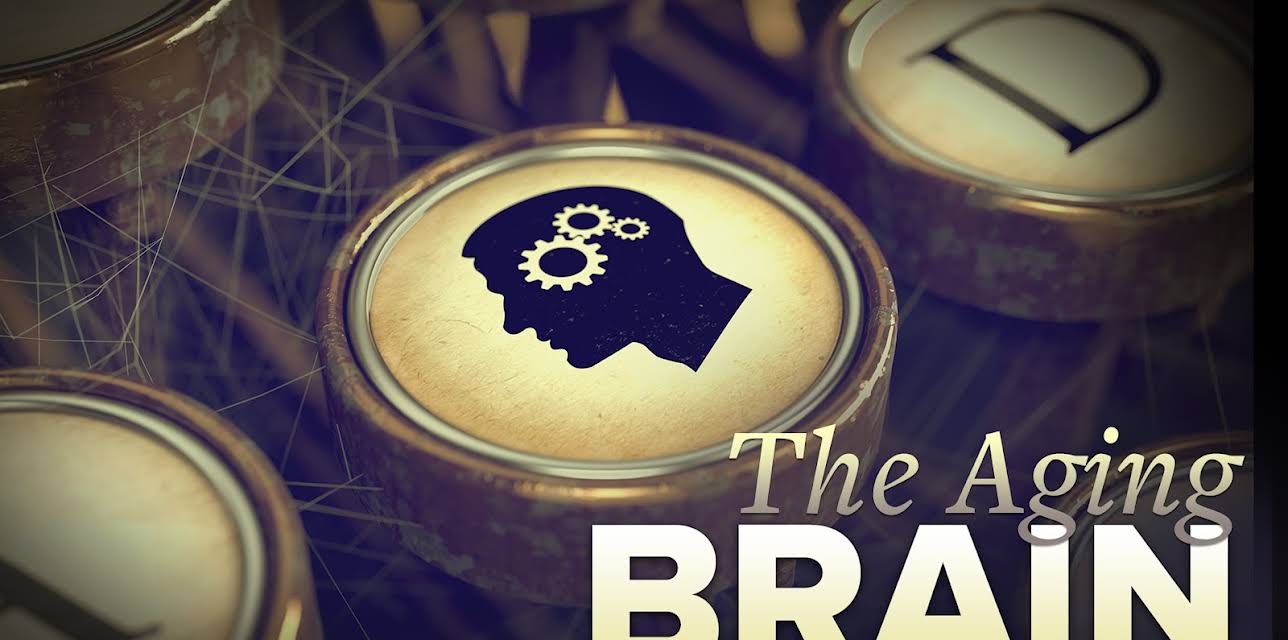 The Aging Brain