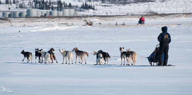 21:00: Flying Wild Alaska (S2 E2) (S2) | Animal Planet | 1/13 2026