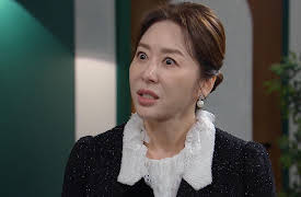 Woman in a Veil: Woman in a Veil Episode 9