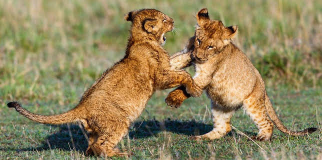 12:00 AM: Mindful Escapes: Breathe, Release, Restore | BBC Four | 3/23 2026