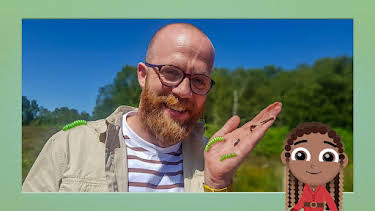 11:35 AM: Teeny Tiny Creatures (S2) | Cbeebies | 7/3 2026