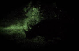 Night Season 1: Rhinos
