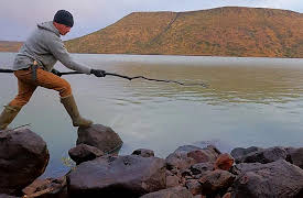 Alone: Echoes of Emptiness