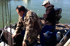 Dallas Car Sharks: Gone Fishin'