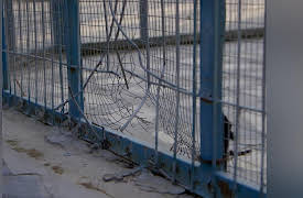 Wild Animal Rescue: Closing the Worst Zoo In The World