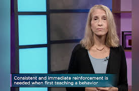 Introduction to Psychology: Learning: Conditioned, Reinforced, Observed