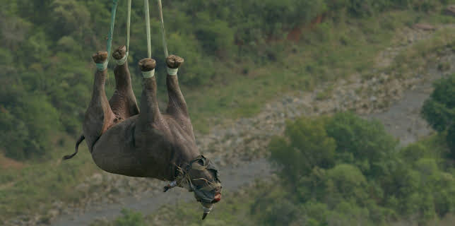 04:00: Unsere Erde III | 3SAT | 2/5 2026