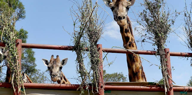 10:21: 360° Reportage | Arte | 11/7 2025