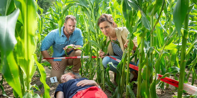 11:15: SOKO Wismar | ZDF | 12/29 2025