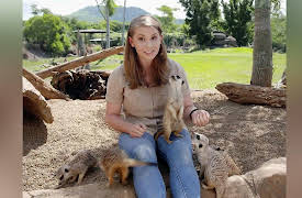 Wild Times: Meerkats and Pythons