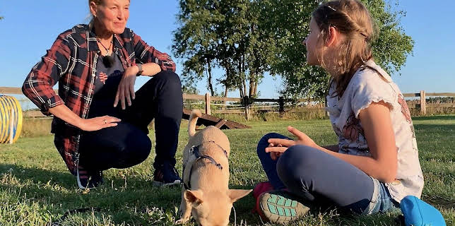 06:10: Liebste Fellnasen – Abenteuer Hundeschule (8) | Das Erste | 1/24 2026