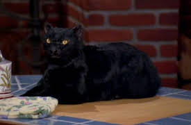 Sabrina: The Teenage Witch Season 1: Trial By Fury