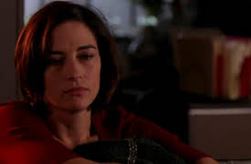 The Guardian Season 1: In Loco Parentis