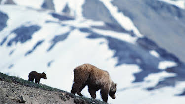 6:00 PM: Planet Earth (S1 E2) (S1) | Yesterday | 12/23 2025