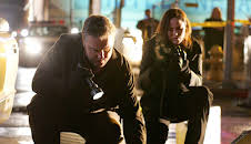 CSI: Den Tätern auf der Spur