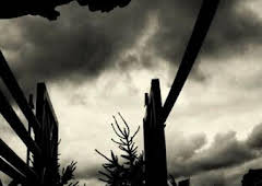 Alfursan Endurance AlUla Equestrianism