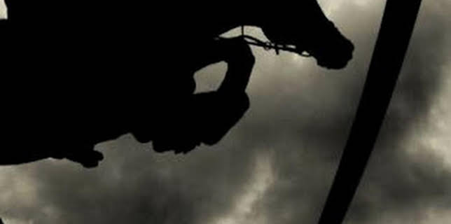 19:00: Alfursan Endurance AlUla Equestrianism | Eurosport 1 | 3/4 2026