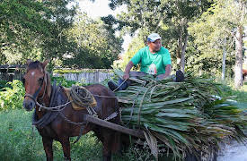 How Do They Do It?: Chewing Gum, Fish Hooks, Legoland