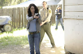 El Mentalista: Episode 23