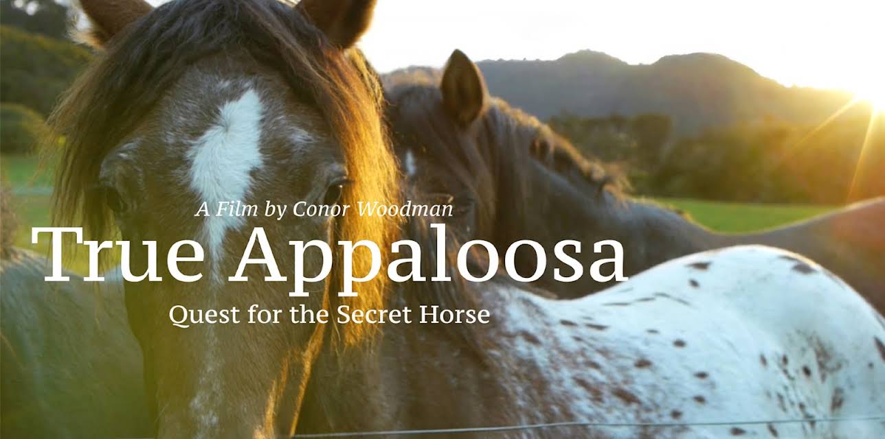 True Appaloosa (2015)