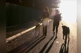 Shannen Says Season 1: The Wedding