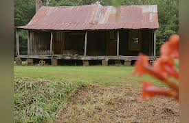 It Was the Music: July 4th